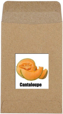 CYBEXIS Hybrid Cantaloupe Seeds400 Seeds Seed(400 per packet)
