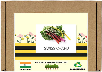 CYBEXIS F1 Hybrid Multicolored Swiss Chard Seeds2000 Seeds Seed(2000 per packet)