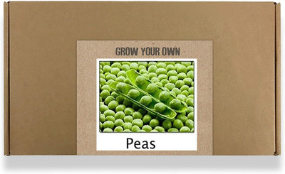CYBEXIS Fast Germination Sweet Garden Peas Seeds800 Seeds Seed(800 per packet)