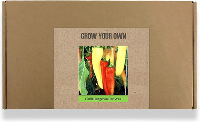 CYBEXIS Fast Germination Hungarian Hot Wax Chilli Seeds600 Seeds Seed(600 per packet)