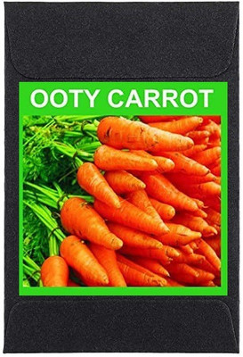 CYBEXIS Heirloom Orange Ooty Carrot Seeds2000 Seeds Seed(2000 per packet)