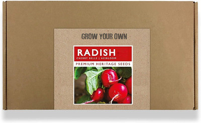 CYBEXIS Fast Germination Radish Cherry Belle Seeds600 Seeds Seed(600 per packet)