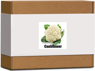 CYBEXIS High Germination Cauliflower Seeds1000 Seeds Seed(1000 per packet)
