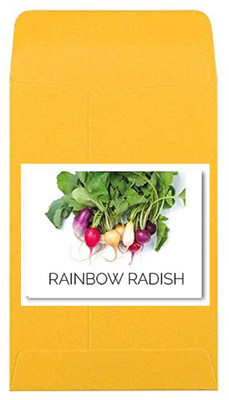CYBEXIS Heirloom Rainbow Radish Seeds2400 Seeds Seed(2400 per packet)