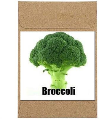 CYBEXIS Guarenteed Germination Broccoli Seeds2000 Seeds Seed(2000 per packet)