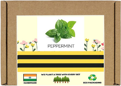 CYBEXIS F1 Hybrid Peppermint Seeds2800 Seeds Seed(2800 per packet)