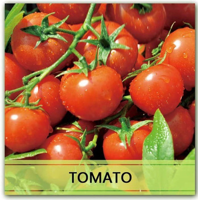 CYBEXIS Heirloom Tomato Seeds2000 Seeds Seed(2000 per packet)