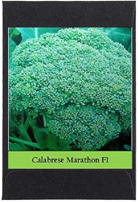 CYBEXIS Heirloom Broccoli Marathon Seeds1000 Seeds Seed(1000 per packet)