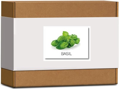 CYBEXIS High Germination Green Basil Seeds4000 Seeds Seed(4000 per packet)