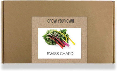 CYBEXIS Fast Germination Multicolored Swiss Chard Seeds2000 Seeds Seed(2000 per packet)
