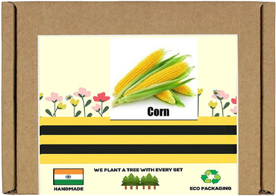 CYBEXIS F1 Hybrid Yellow Sweet Corn Seeds2000 Seeds Seed(2000 per packet)