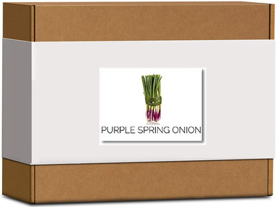 CYBEXIS High Germination Purple Spring Onion Seeds2000 Seeds Seed(2000 per packet)