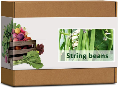 CYBEXIS High Germination Long Beans Seeds800 Seeds Seed(800 per packet)