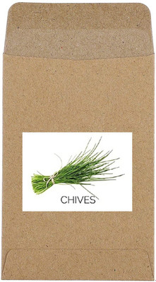 CYBEXIS Guarenteed Germination Chives Seeds-350 Seeds Seed(350 per packet)