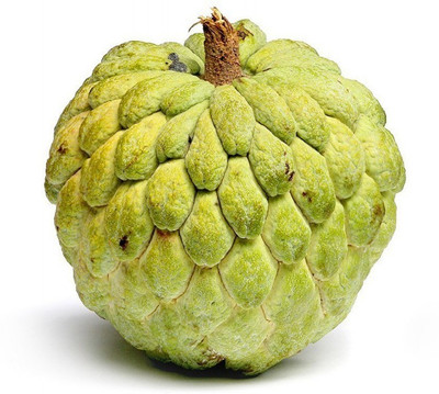 Paudha Custard Apple Hybrid Seed(20 per packet)