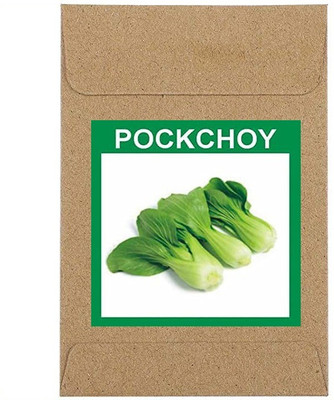 CYBEXIS Guarenteed Germination Pok Choy Seeds2000 Seeds Seed(2000 per packet)