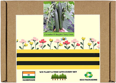 CYBEXIS F1 Hybrid Cucumber Green Seeds1000 Seeds Seed(1000 per packet)
