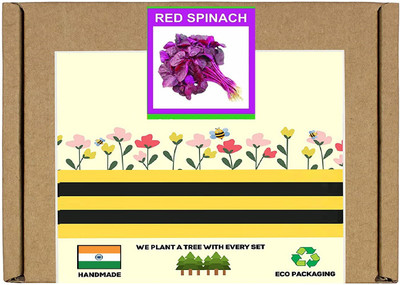 CYBEXIS F1 Hybrid Red Spinach Seeds4000 Seeds Seed(4000 per packet)