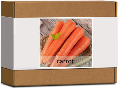 CYBEXIS Carrot Seeds Seed(2000 per packet)