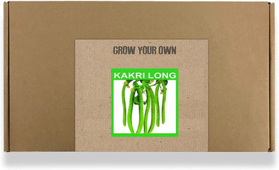 CYBEXIS Fast Germination Kakri Long/Lomg Melon Seeds500 Seeds Seed(500 per packet)