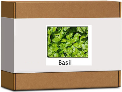 CYBEXIS High Germination Thai Basil Seeds2000 Seeds Seed(2000 per packet)