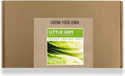 CYBEXIS Fast Germination Little Gem Lettuce Seeds4000 Seeds Seed(4000 per packet)