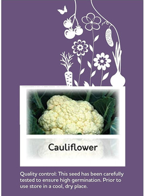 CYBEXIS F1 Hybrid Cauliflower Year Round Seeds2000 Seeds Seed(2000 per packet)
