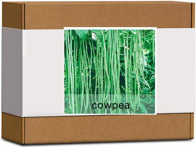 CYBEXIS High Germination Cowpea Seeds800 Seeds Seed(800 per packet)