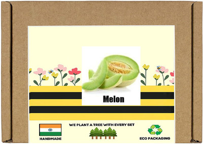 CYBEXIS F1 Hybrid Melon Seeds100 Seeds Seed(100 per packet)