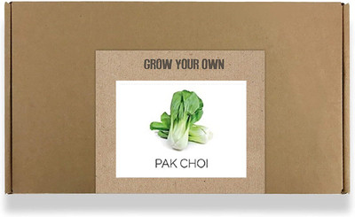 CYBEXIS Fast Germination Pak Choi Seeds400 Seeds Seed(400 per packet)