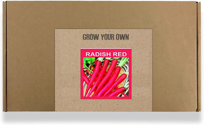 CYBEXIS Fast Germination Radish Red Seeds1200 Seeds Seed(1200 per packet)