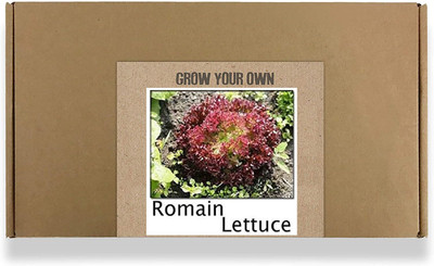 CYBEXIS Fast Germination Romain Lettuce Seeds2000 Seeds Seed(2000 per packet)