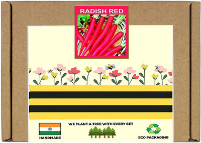 CYBEXIS F1 Hybrid Radish Red Seeds2400 Seeds Seed(2400 per packet)