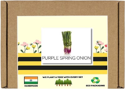 CYBEXIS F1 Hybrid Purple Spring Onion Seeds2000 Seeds Seed(2000 per packet)