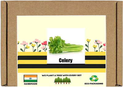 CYBEXIS F1 Hybrid Green Celery Seeds1400 Seeds Seed(1400 per packet)