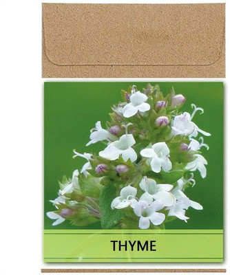 CYBEXIS Guarenteed Germination Thyme Seeds-100 Seeds Seed(100 per packet)