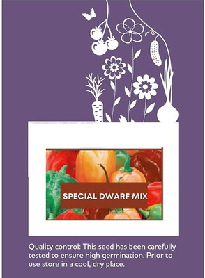 CYBEXIS F1 Hybrid Special Dwarf Mix chilli Seeds1200 Seeds Seed(1200 per packet)