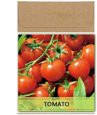 CYBEXIS Guarenteed Germination Cherry Tomato Seeds2000 Seeds Seed(2000 per packet)