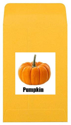 CYBEXIS Heirloom Pumpkin Seeds100 Seeds Seed(100 per packet)