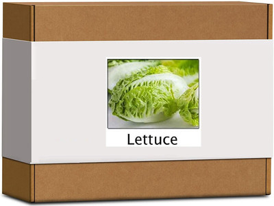 CYBEXIS High Germination Lettuce Seeds4000 Seeds Seed(4000 per packet)