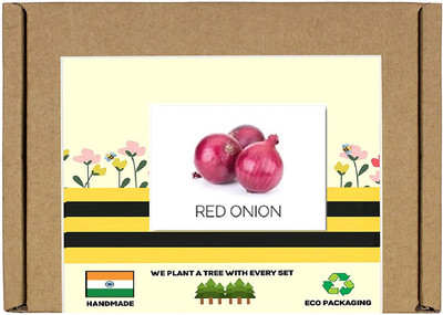 CYBEXIS F1 Hybrid Red Nasik Onion Seeds4000 Seeds Seed(4000 per packet)