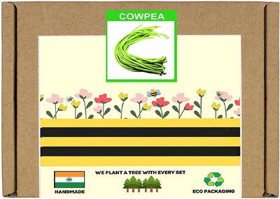 CYBEXIS F1 Hybrid Cowpea Beans Seeds2000 Seeds Seed(2000 per packet)