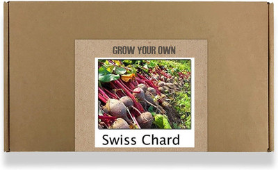 CYBEXIS Fast Germination Swiss Chard Seeds2000 Seeds Seed(2000 per packet)