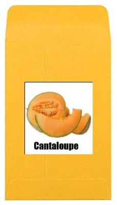 CYBEXIS Heirloom Cantaloupe Seeds200 Seeds Seed(200 per packet)