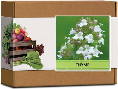 CYBEXIS High Germination Thyme Seeds-100 Seeds Seed(100 per packet)