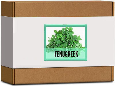 CYBEXIS High Germination Fenugreek Seeds700 Seeds Seed(700 per packet)