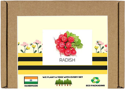 CYBEXIS F1 Hybrid Red Cherry Radish Seeds2400 Seeds Seed(2400 per packet)