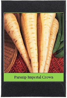 CYBEXIS Heirloom Parsnip Imperial Crown Seeds2000 Seeds Seed(2000 per packet)