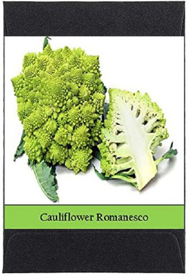 CYBEXIS Heirloom Broccoli/Cauliflower Romanesco Seeds500 Seeds Seed(500 per packet)