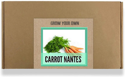 CYBEXIS Fast Germination Carrot Seeds1000 Seeds Seed(1000 per packet)